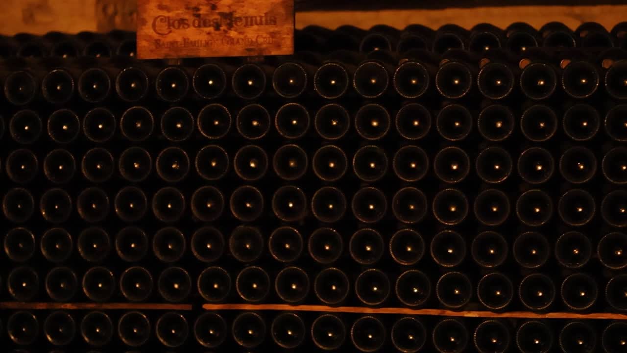 filas de botellas de vino en una bodega de bordeos