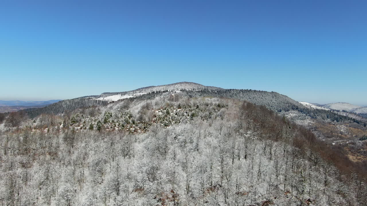 Snowy mountain under a blue sky The trees are covered in snow Hills are visible in the distance The day appears bright and clear