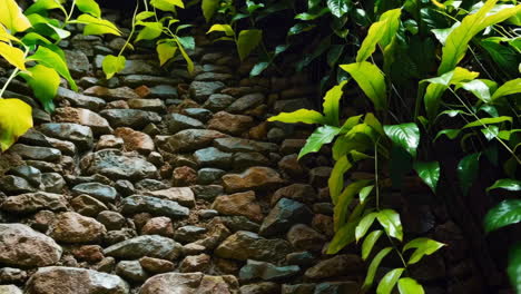 lush green foliage on a stone wall