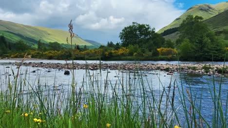 idyllic scene of rural lake in scotland - panning shot