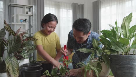 father and daughter transplanting plant at home