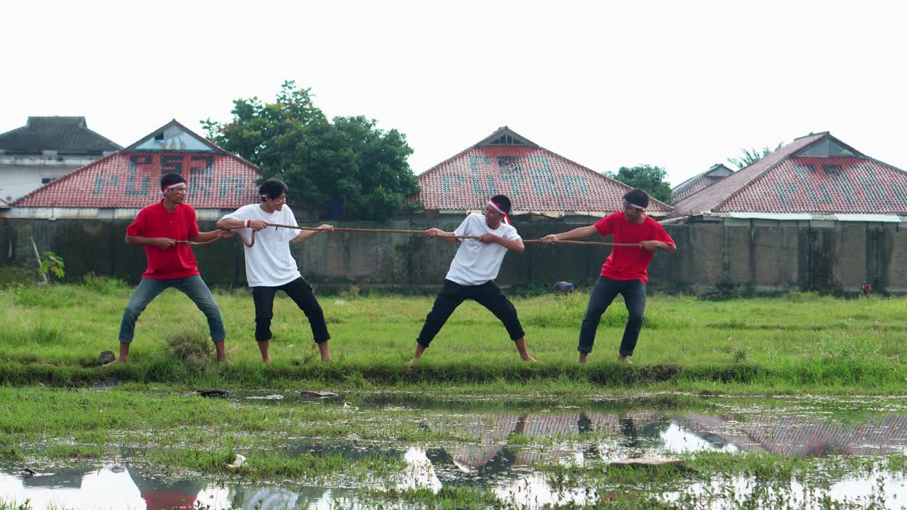 Young Indonesian Men Fiercely Compete In Tug Of War Match During Independence Day Celebrations In Rural Field
