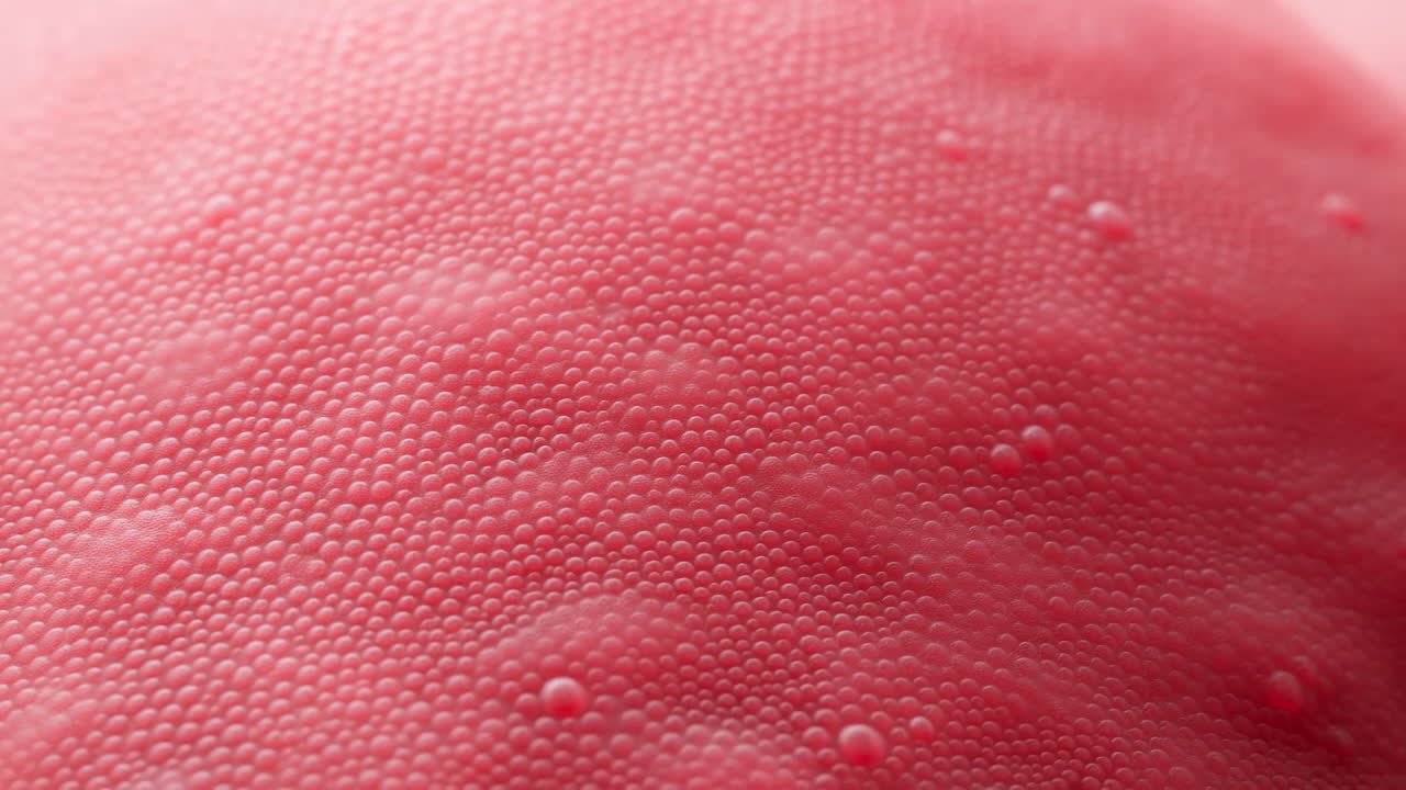 Primo piano della texture di fragola che mostra i semi in macro vista, polpa di bacca rossa matura con perline di umidità lucide