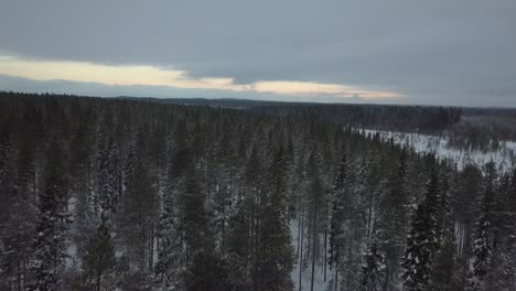 The-frozen-forest-near-Kuusamo-in-Lapland,-Finland