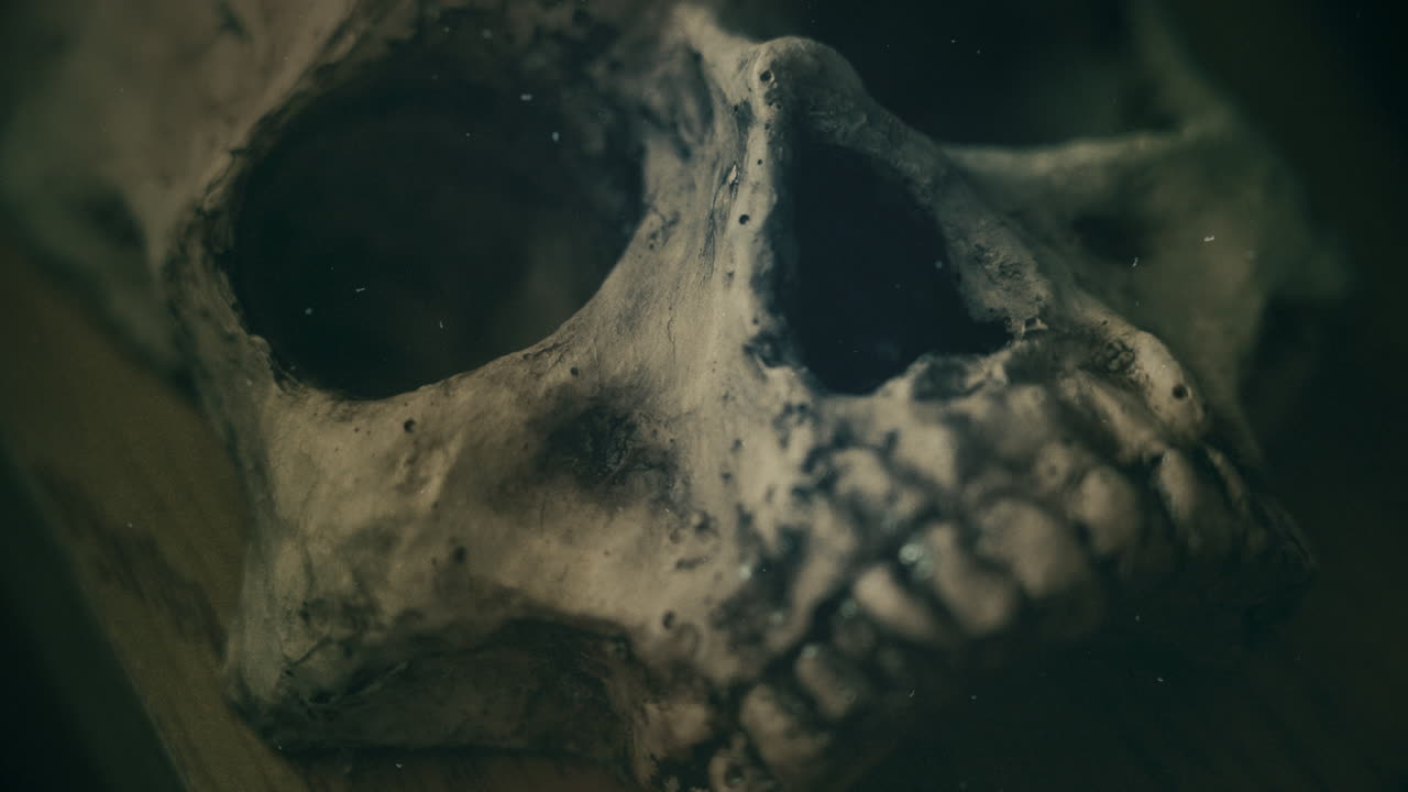 Primo piano inquietante di un cranio umano deteriorato con particelle di polvere