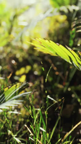 plantas tropicales verdes y exuberantes a la luz del sol