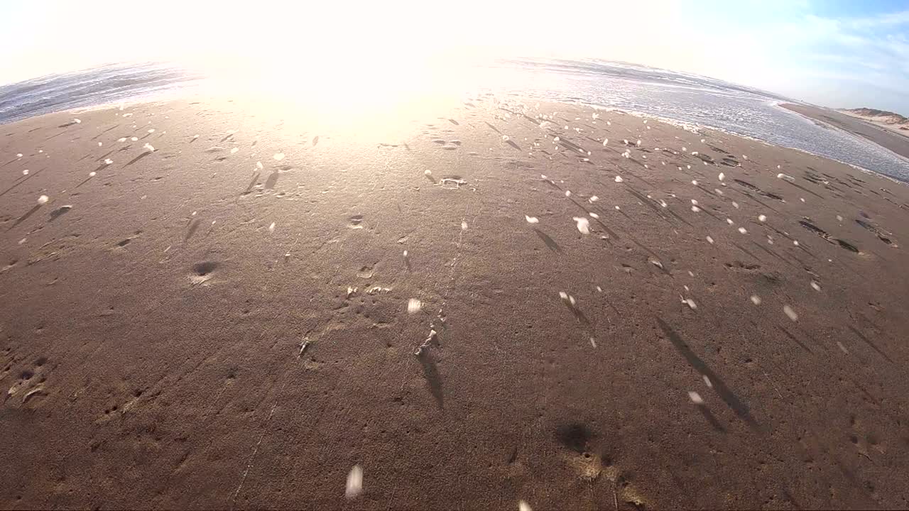 해변에서 폭풍의 해조류 거품, 느린 동작, 모래 해변, 북해, jütland, søndervig, 덴마크, 4k