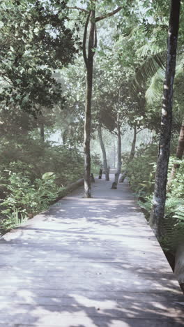 wooden path through a lush green forest