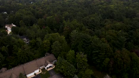 Lush-trees-including-native-pines-over-Muskegon