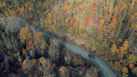 fall colours by drone in quebec