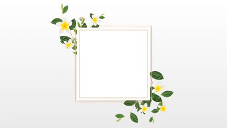 diseño de frontera con hermosas flores blancas y amarillas
