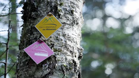 hiking trail signs nailed on tree trunk in saint-come, quebec, canada