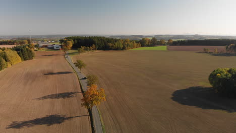 beautiful sunset over countryside trees and farmland fields, aerial view