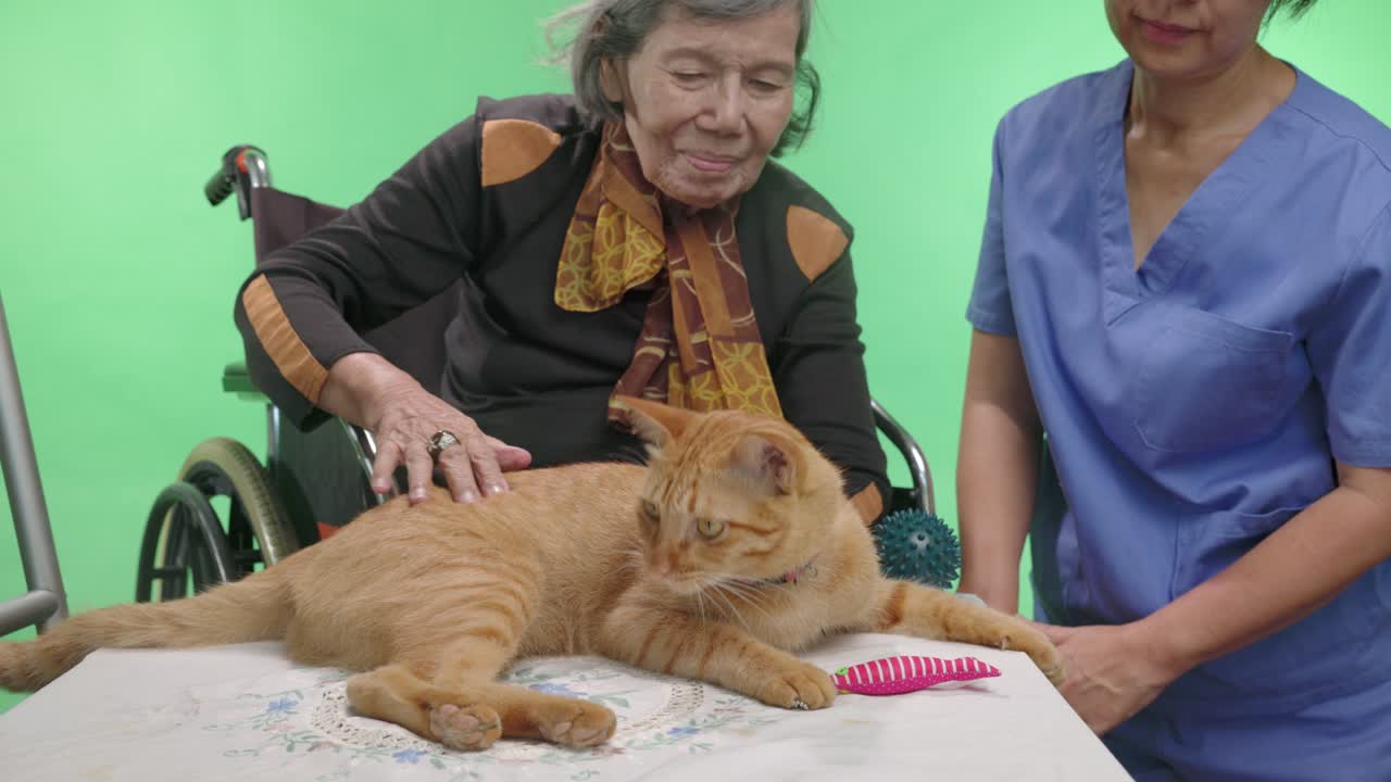 애완동물 치료는 chroma key 배경에서 치매 노인에게 도움이 됩니다.