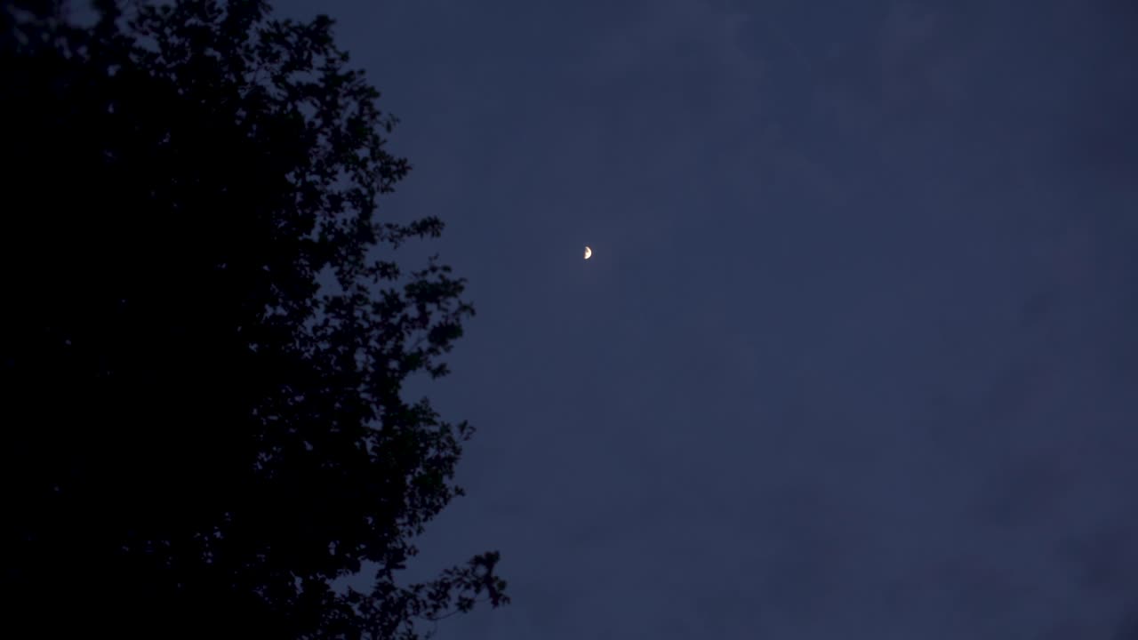 Shot of sky with tree, clouds and the moon