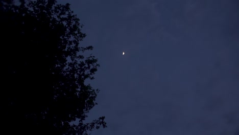 Shot-of-sky-with-tree,-clouds-and-the-moon