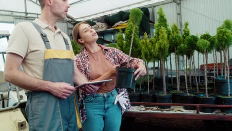 two cheerful caucasian botanists working in greenhouse over plants seedling and using tablet