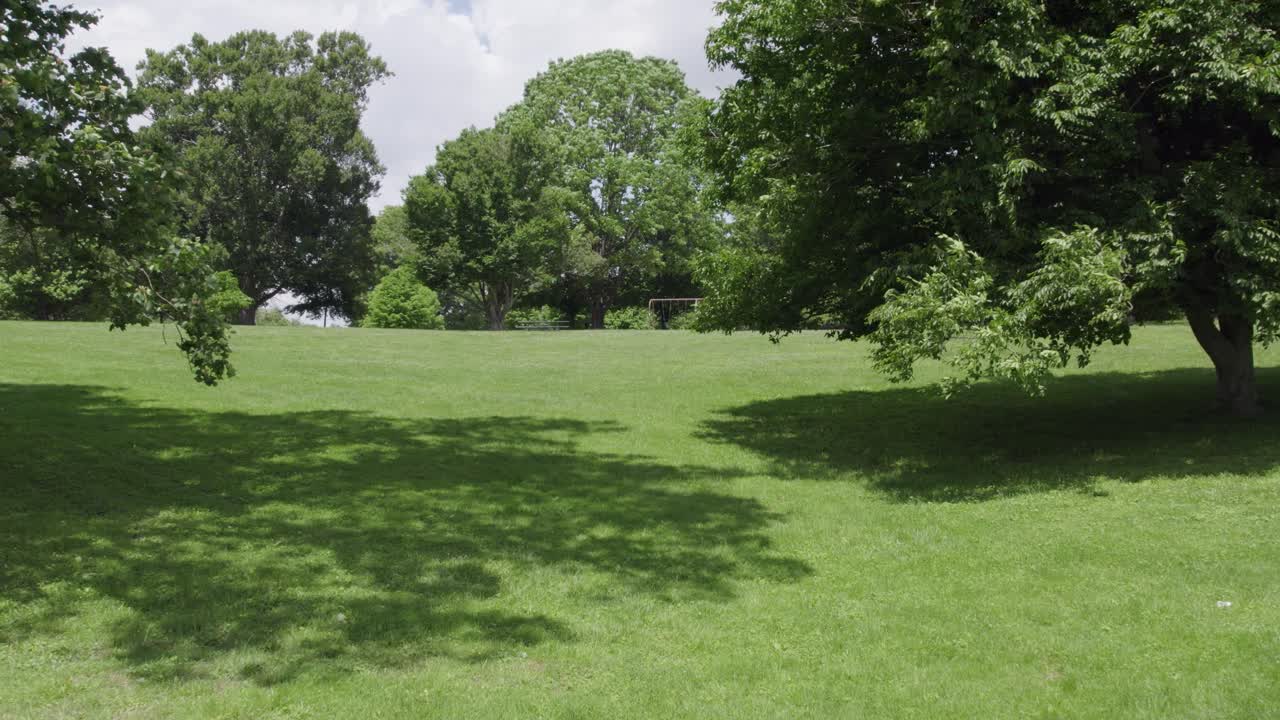 Slow cinematic move-in shot at a scenic park on a summer day, featuring green trees and open space. Ideal for nature, lifestyle, and outdoor recreation themes.