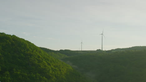 electricity windmill park next to forest on summer day