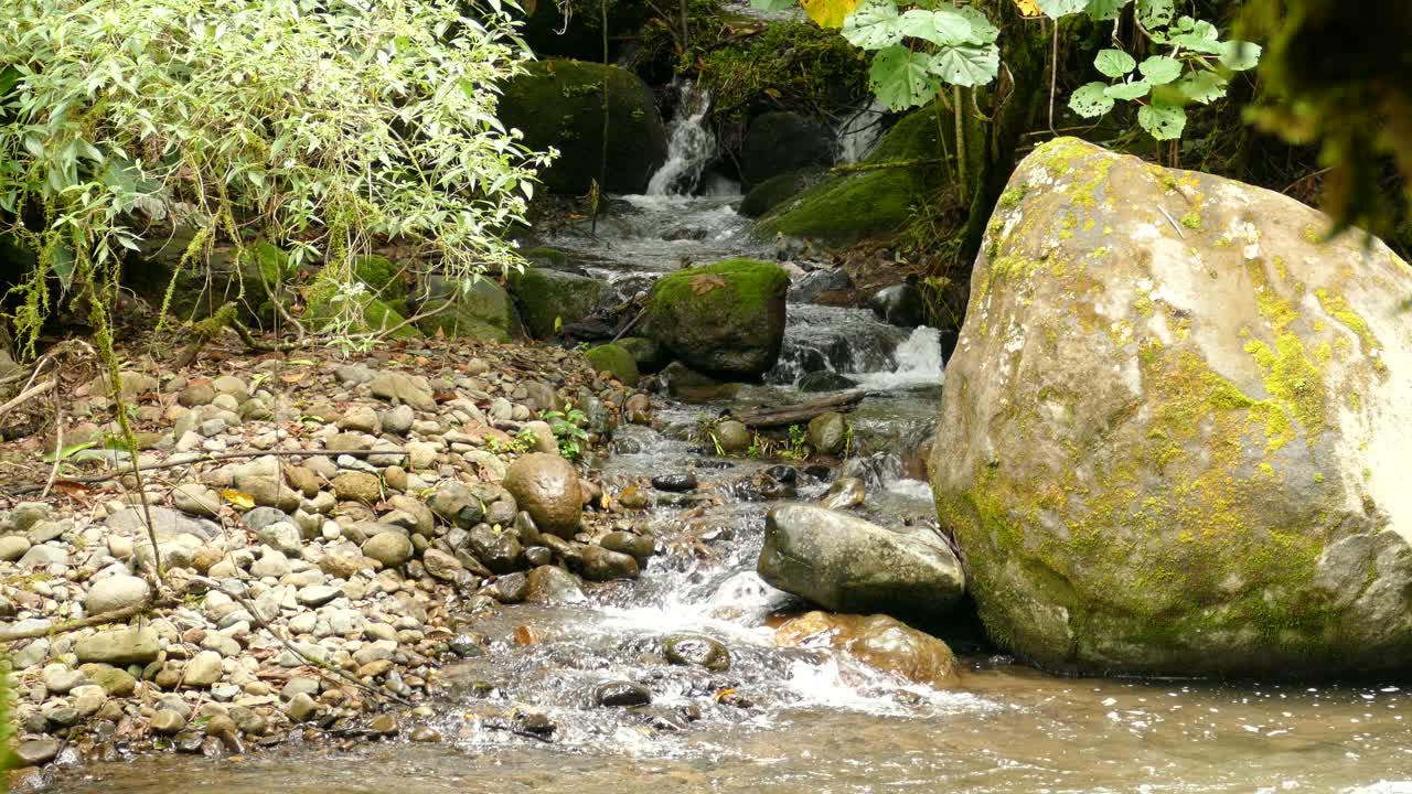 río de la selva que fluye más allá de una gran roca