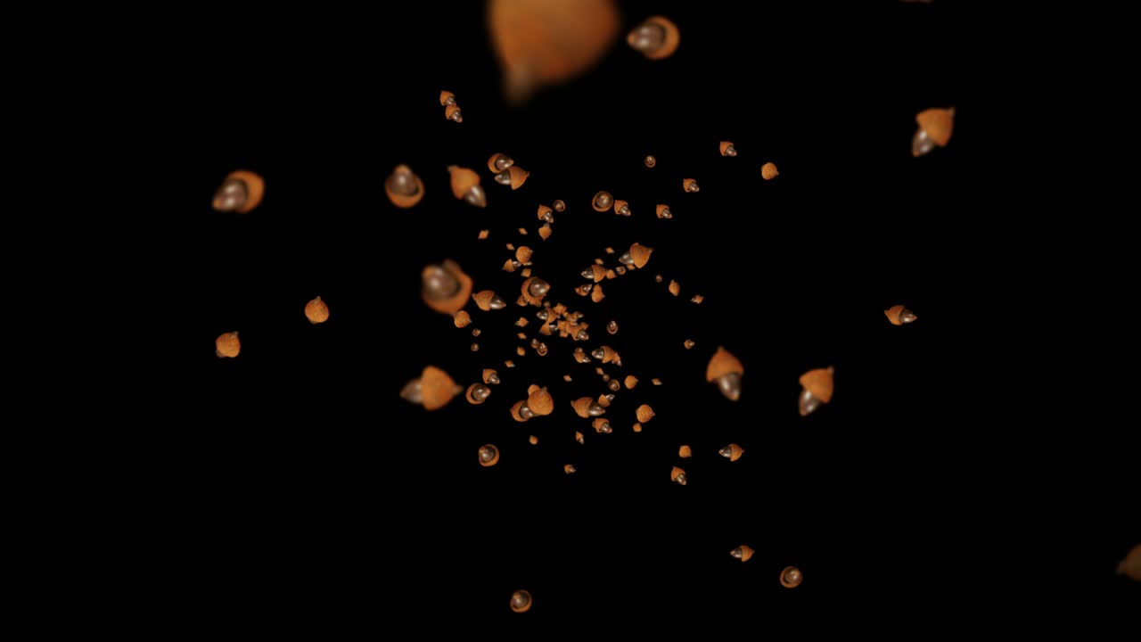 검은색 바탕에 많은 가을 아크론을 날아. 가을의 상징, 오크 견과류, 가을의 선물. 아크론 씨의 3d 애니메이션 회전. 루프 애니메이션.