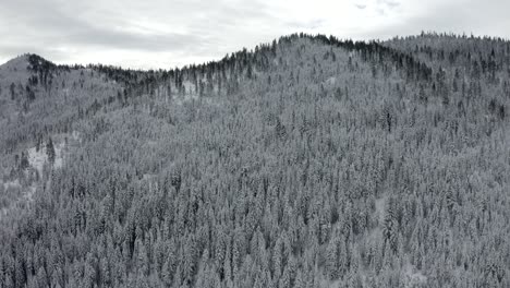 drone flying over snow covered forest mountain trees winter wonderland