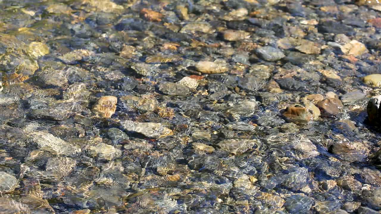 Sunlit creek water flows over multicolored rocks, gentle movement, natural outdoor forest setting