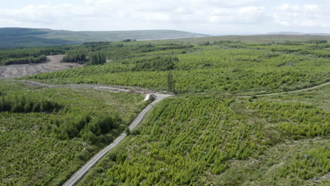 AERIAL---Road-on-a-tree-farm-near-Galway,-Ireland,-wide-forward-shot