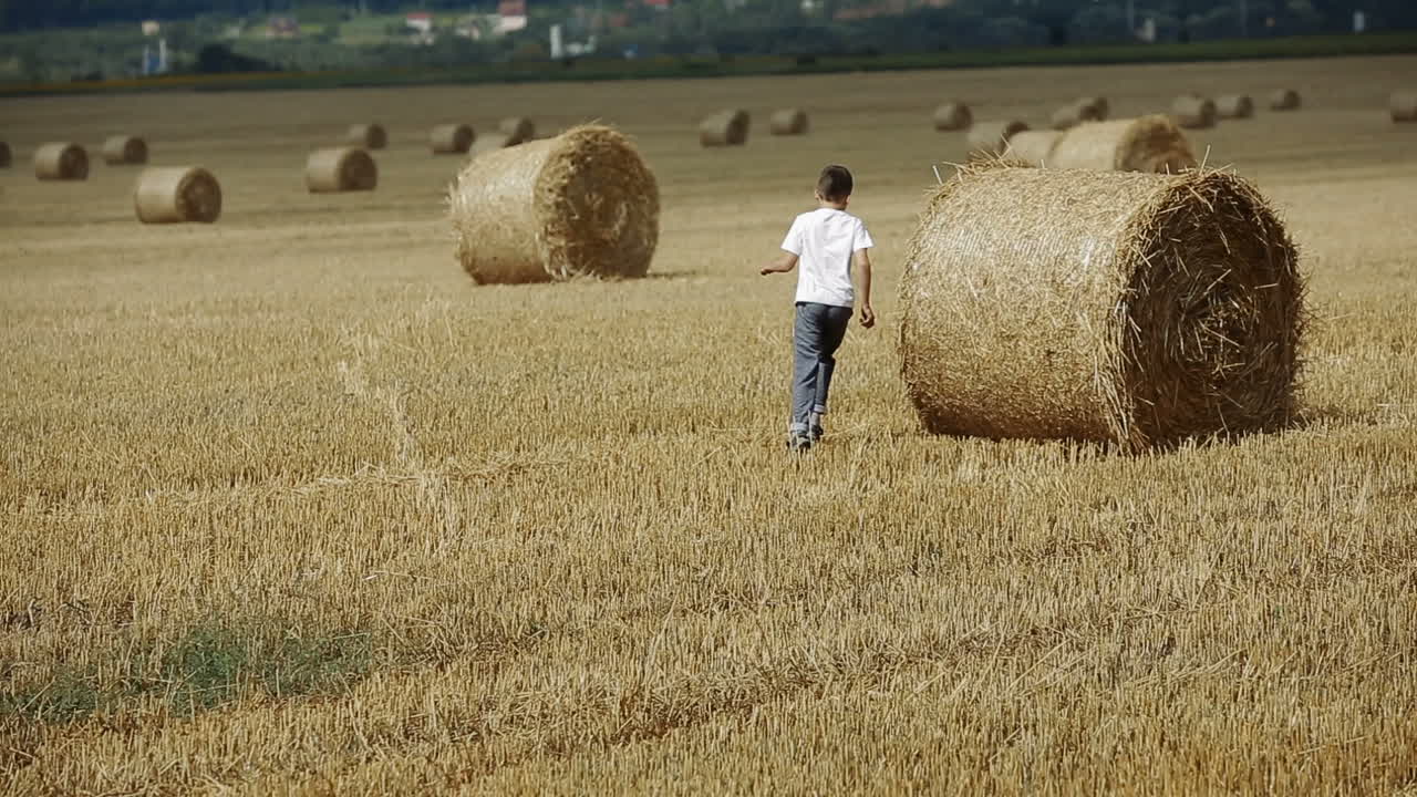 Boy Walking In Field. Adorable preschooler boy walking happily in field