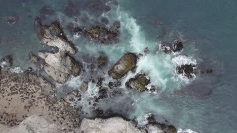 aerial birds eye view of ocean waves crashing in between rocks with wildlife birds on coastline
