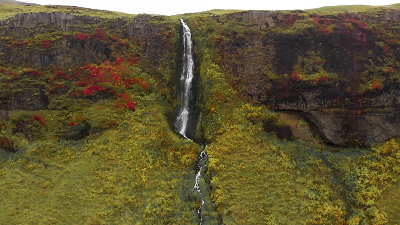 cascada de seljalandsfoss en un acantilado cubierto de liquen y musgo