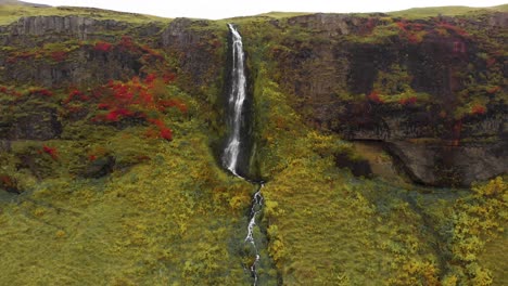 Cascada-De-Seljalandsfoss-Sobre-Un-Acantilado-Cubierto-De-Líquenes-Y-Musgo.