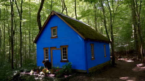 a vibrant blue house nestled in a lush green forest