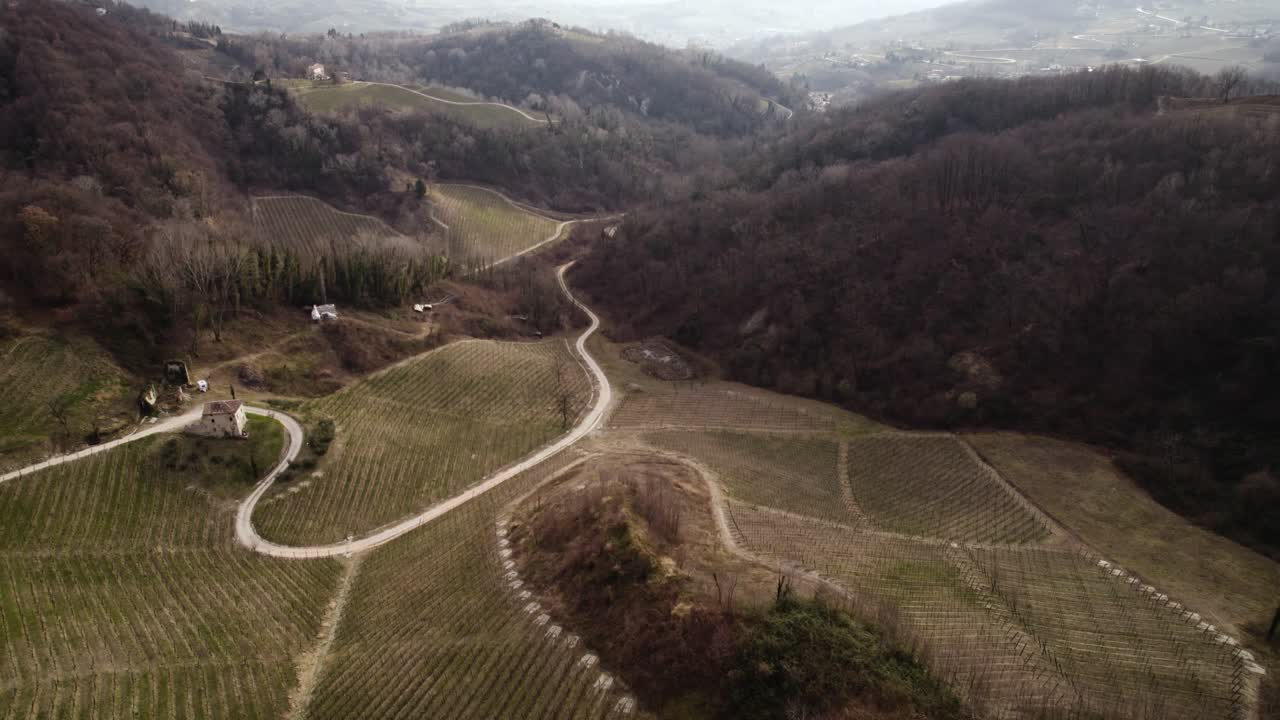 vista aérea del paisaje sobre hileras de viñedos en las colinas italianas de prosecco, en un día de invierno