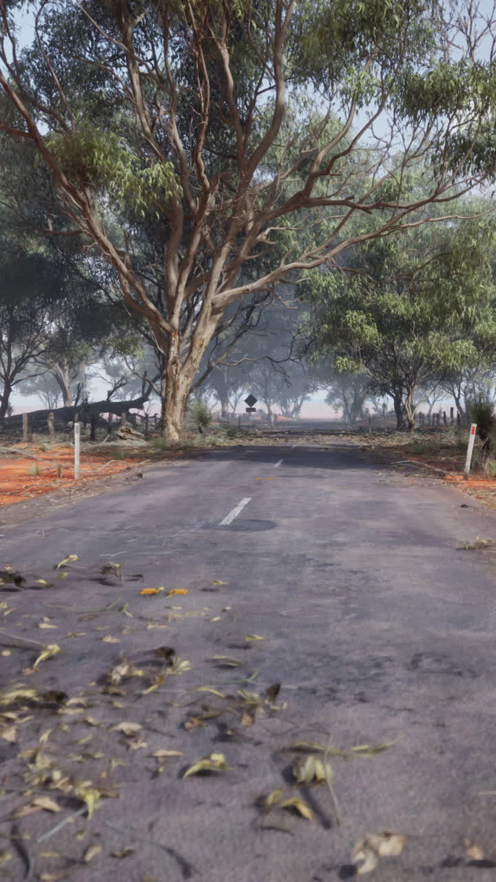 오스트레일리아 외을 가로지르는  빈 도로