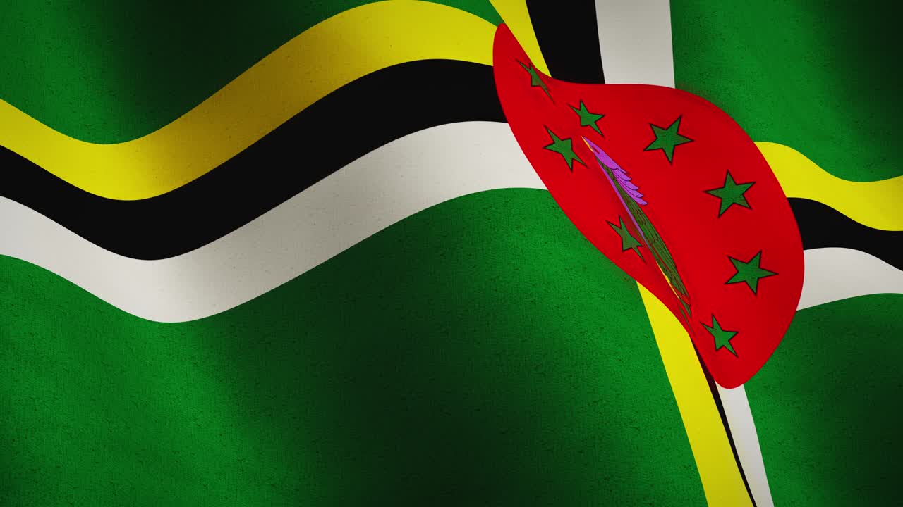 la bandera de dominica agitando un primer plano muestra la democracia y el gobierno - video de animación sin fisuras