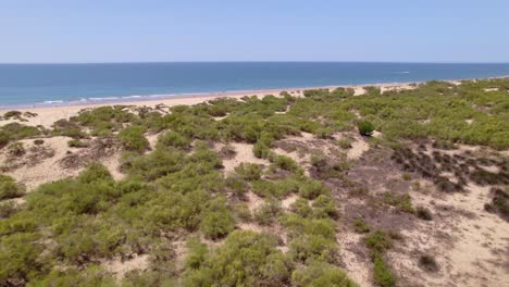 Flug-über-Die-Strandlinie-Und-Sandbänke