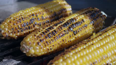 grilled corn on the cob