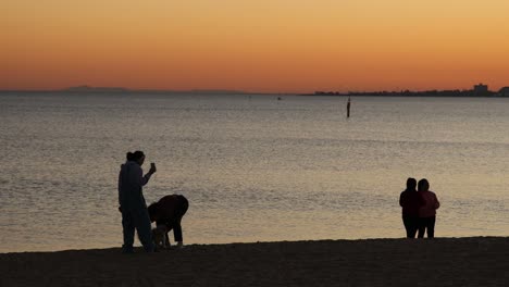 people and dog enjoying sunset at beach