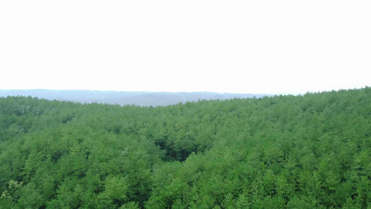 Drone video of Meghalaya's natural beauty.