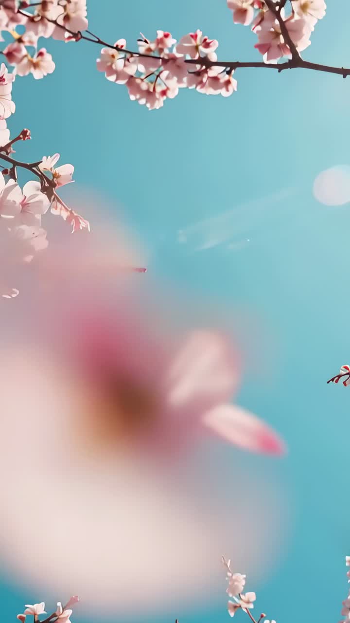 Vertical video: Blowing breeze moving bloom petals drifting big petal blurring near lens in park