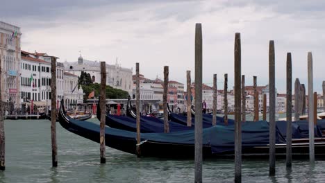 venice gondolas on the grand canal 4k