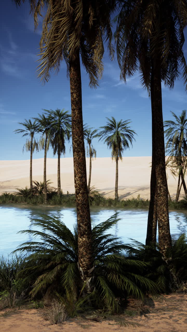 оазис в пустыне