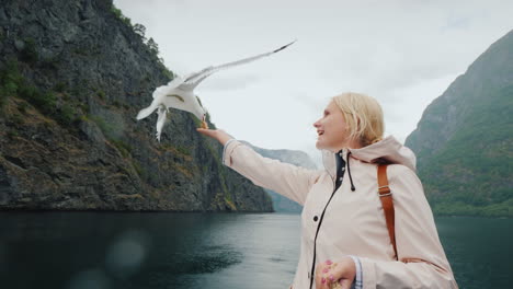 Eine-Frau-Füttert-Eine-Möwe,-Die-Im-Vertrauen-Fliegt-Und-Die-Konzeptreise-Durch-Die-Fjorde-Von-Nor-Zähmt