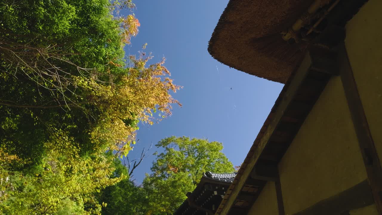 푸른 하늘과 가을 색으로 일본 지붕의 실루을 보고 있습니다.