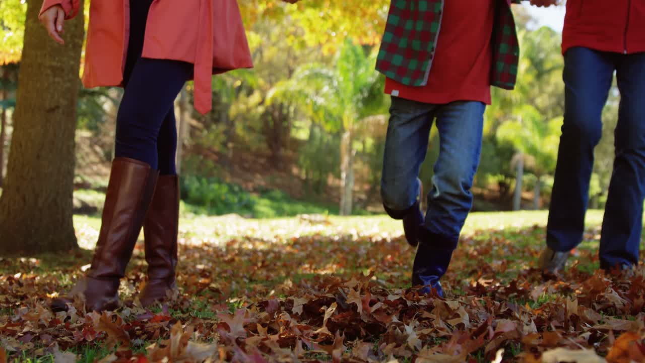 familia caminando de la mano al aire libre