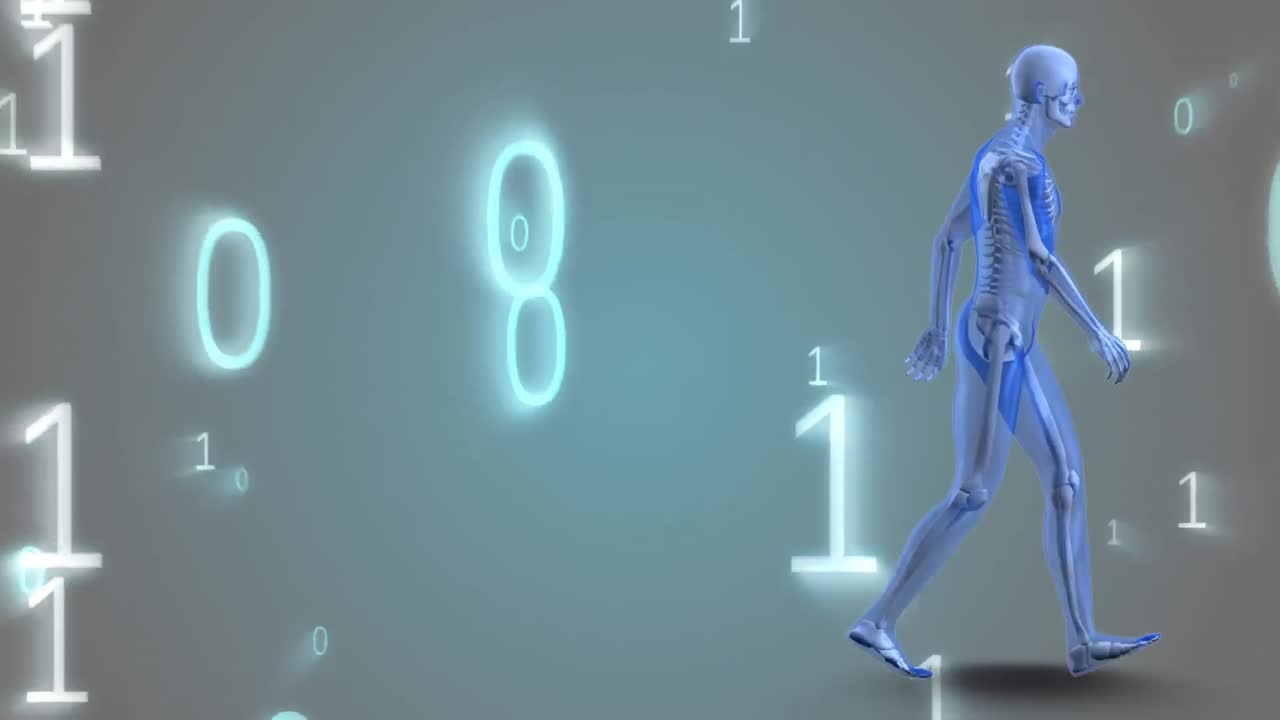 anatomía humana y números binarios