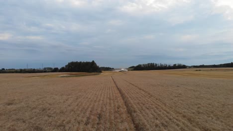 Aerial-view-above-working-combine-harvester-in-a-field-at-sunset