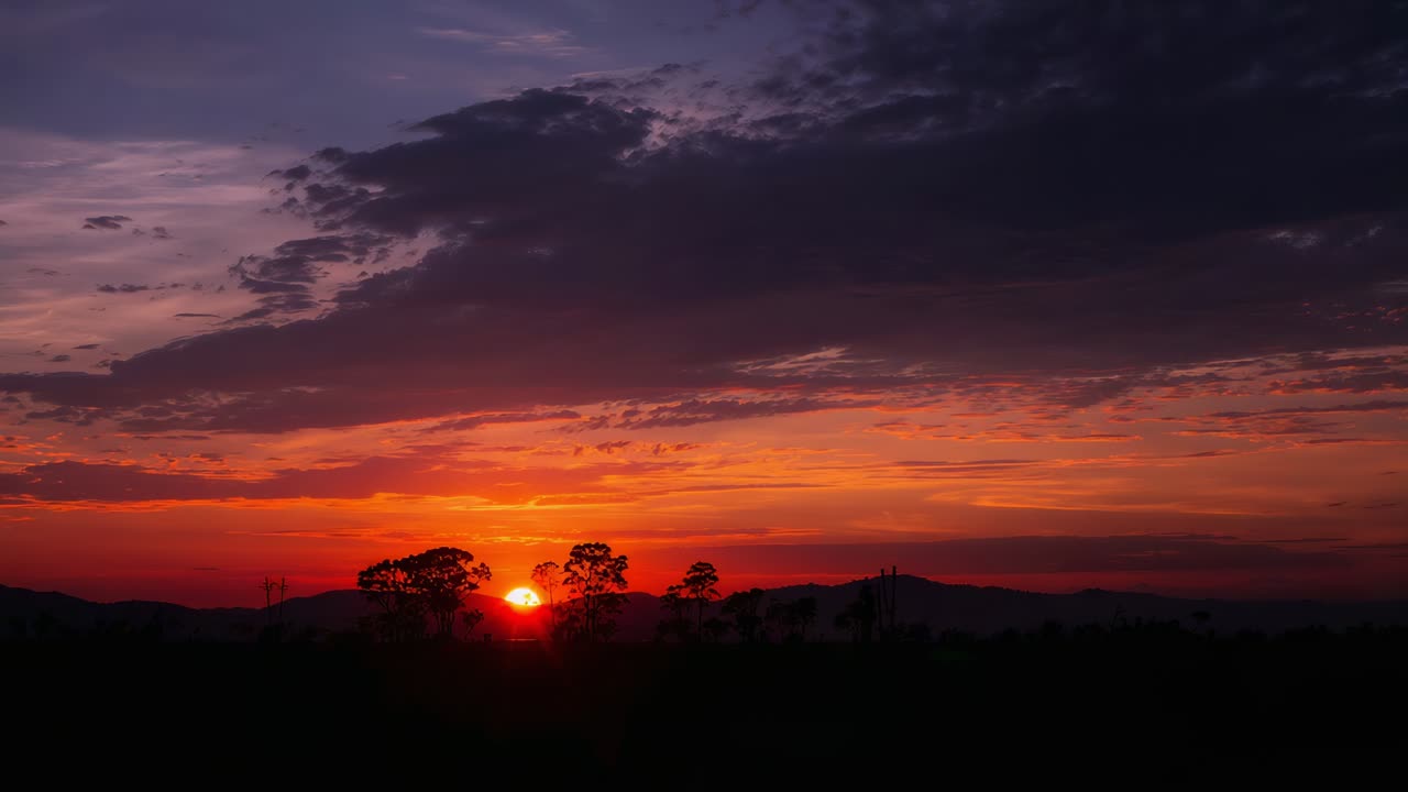 Aufgehende Sonne, die bei Tagesanbruch den Horizont überquert, aufsteigt und Strahlen durch silhouettierte Bäume wirft