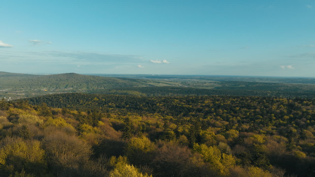 paisaje forestal montañoso